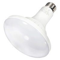 BARREL フューチャーライト LPL15WB 3K 304268 1個（直送品）