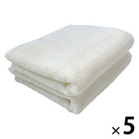 抗菌防臭フェイスタオル ホワイト 1セット（1袋(2枚)×5） 速乾 部屋干し 業務用 サロン仕様 伊澤タオル