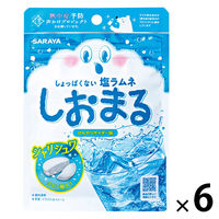 暑さ対策 塩分補給 塩分対策  しおまる　ひんやりサイダー 30g 1セット（1個×6）