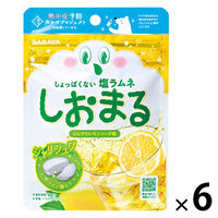 暑さ対策 塩分補給 塩分対策  しおまる　ひんやりれもんサイダー 30g 1セット（1個×6）