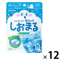暑さ対策 塩分補給 塩分対策  しおまる　ひんやりサイダー 30g 1セット（1個×12）