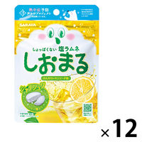 暑さ対策 塩分補給 塩分対策  しおまる　ひんやりれもんサイダー 30g 1セット（1個×12）