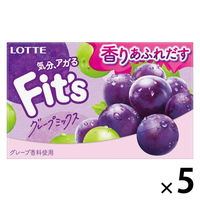 Ｆｉｔ’ｓ＜グレープミックス＞ 1セット（5個入）