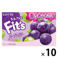 Ｆｉｔ’ｓ＜グレープミックス＞ 1セット（10個入）