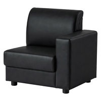 【軒先渡し】市場 aven ビンデンソファ2 左ひじ 幅700mm ブラック 1台（直送品）