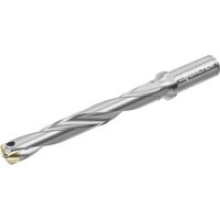 ワルタージャパン Walter チップ交換式ドリル D4140 D4140.07-17.00A19-C 1本 412-3909（直送品）