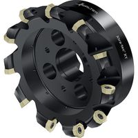 ワルタージャパン Walter フェイスミルカッター M5004ーBボア穴タイプ 9枚刃 M5004-170-B40-09-04 1個（直送品）