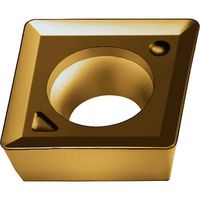 ワルタージャパン Walter ミーリング加工用 ひし形ポジチップ WSP45G MPMT120408-F57 1セット(10個)（直送品）