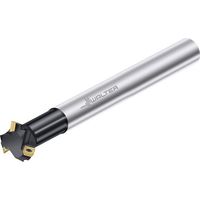 ワルタージャパン Walter 面取りカッタ ボディ 30°タイプ M4574.019-A19-02-05-30 1個 410-9803（直送品）
