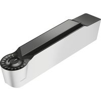 ワルタージャパン Walter 溝入れおよび倣い加工 チップ WSM13S GX24-3F500N25-RF7 1セット(10個)（直送品）