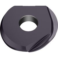 ワルタージャパン Walter 倣い仕上げ加工用 ミーリングチップ WHH15X P3204-D15.87 1セット(10個)（直送品）