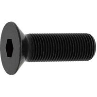 SUNCO サラCAP(細目 Pー1.25 10×20 (200本入) A0-00-2004-0100-0200-00 1箱(200本)（直送品）