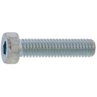 SUNCO ニッケル ローヘッドCAP 6×16 (400本入) A0-00-L000-0060-0160-05 1箱(400本)（直送品）