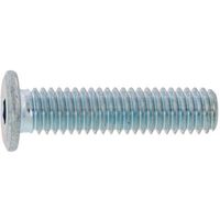 SUNCO 極薄・NSローヘッド 10×30 (100本入) A0-00-L300-0100-0300-00 1箱(100本)（直送品）