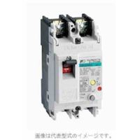 富士電機 GーTWINシリーズ漏電遮断器 JIS CE CCC品 2極 EW32AAG-2P020B 1個 595-5469（直送品）