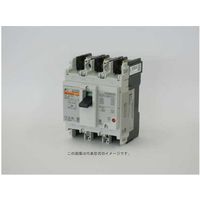 富士電機 GーTWINシリーズ配線用遮断器 JIS CE CCC 3極 BW32AAG-3P005 1個 595-3396（直送品）