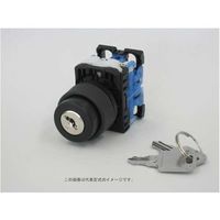 富士電機 コマンドスイッチφ22丸フレームキー形セレクタスイッチ AR22JR-2A20A 1個 561-2254（直送品）