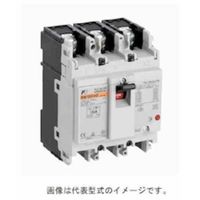 富士電機 GーTWINシリーズ配線用遮断器 JIS CE CCC品 3極 BW100AAG-3P100 1個 597-1970（直送品）