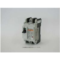 富士電機 GーTWINシリーズ配線用遮断器 JIS CE CCC 2極 BW32AAG-2P015 1個 596-7475（直送品）