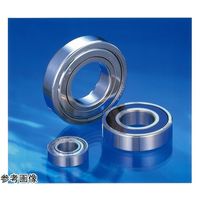 日本精工 日本精工(NSK) ステンレス軸受 SS6001ZZ-T 1個 69-0538-95（直送品）