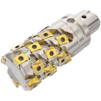 セコ フライス スクエアT4カッター R220.94ー12 C5-R217.94-054-069-LO12.4A 1個（直送品）