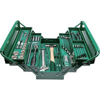 Apex Tool Group SATA 工具セット 差込角9.5mm(75点) 95104A-75 1セット 679-3508（直送品）