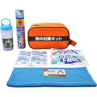 ブレイン 熱中対策キット BR-810 1式 690-7319（直送品）