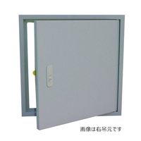 杉田エース メーター点検口 600×600 AEJ451217 1枚（直送品）