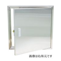 杉田エース SUS メーター点検口 ビス止め仕様 450角 AEJ451236 1枚（直送品）