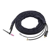 マイト工業 TIGトーチ 8m CP17-25-2FDP 1PC（直送品）