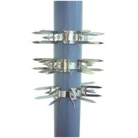 杉田エース SUS アムレットバンド THー60SB ALC242294 1セット(2組)（直送品）