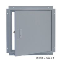 杉田エース メーター点検口 ビス止め仕様 600角 AEJ451205 1枚（直送品）