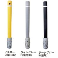 杉田エース ラク・ポール 固定式 PKT76NーLG CGY632945 1本（直送品）