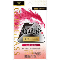 MSソリューションズ iPhone 17/iPhone 16 Pro ガラスフィルム覗き見防止180° GG-IM25GFN 1個（直送品）