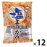 暑さ対策 塩分チャージ 塩ようかん 186g 1セット（1個×12）