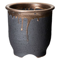 かみ山陶器 盆栽鉢 信楽焼 植木鉢 金彩大深 5号 284752 1個（直送品）