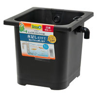 テトラ ジャパン じょうろでキレイメダカ鉢 20 黒 289088 1セット(12個)（直送品）