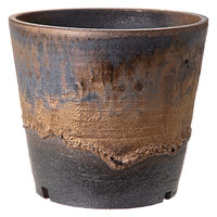 かみ山陶器 盆栽鉢 信楽焼 植木鉢 金彩深ソリ 5号 294864 1個（直送品）