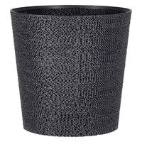 bachi 多肉植物 Gyropot 阿智(あち) 4号鉢 298563 1個（直送品）