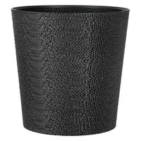 bachi 多肉植物 Gyropot 阿智(あち) 5号鉢 298564 1個（直送品）