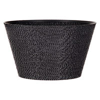 bachi 多肉植物 Gyropot 小倉(こくら) 4号鉢 298566 1個（直送品）