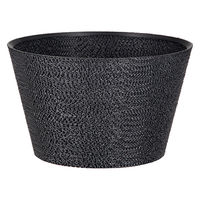 bachi 多肉植物 Gyropot 小倉(こくら) 5号鉢 298567 1個（直送品）