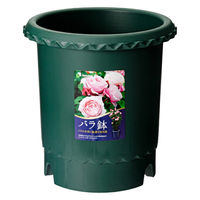 リッチェル 鉢 バラ鉢 ダークグリーン 8号 φ24×24cm 58650 1個（直送品）