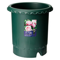 リッチェル 鉢 バラ鉢 ダークグリーン 10号 φ30×30cm 251115 1セット(5個)（直送品）
