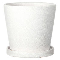 陶里 コーノ ホワイト 受け皿付き 307093 1個（直送品）