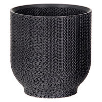 bachi 多肉植物 Gyropot 姫島(ひめじま) 2.5号鉢 297498 1個（直送品）