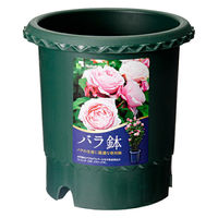 リッチェル 鉢 バラ鉢 ダークグリーン 6号 φ18×18cm 251097 1セット(3個)（直送品）