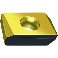 ワルタージャパン Walter ミーリング加工用 ワイパーチップ WAK15 P45424-2-G67 1セット(10個) 412-5028（直送品）