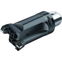 ワルタージャパン Walter 2 枚刃ボーリング工具 B3221.C3.023-027.Z2.CC06 1本 411-5630（直送品）