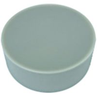 ワルタージャパン Walter 旋削加工用チップ 丸駒ポジタイプ WIS10 RPGN090300T01020 1セット(10個)（直送品）